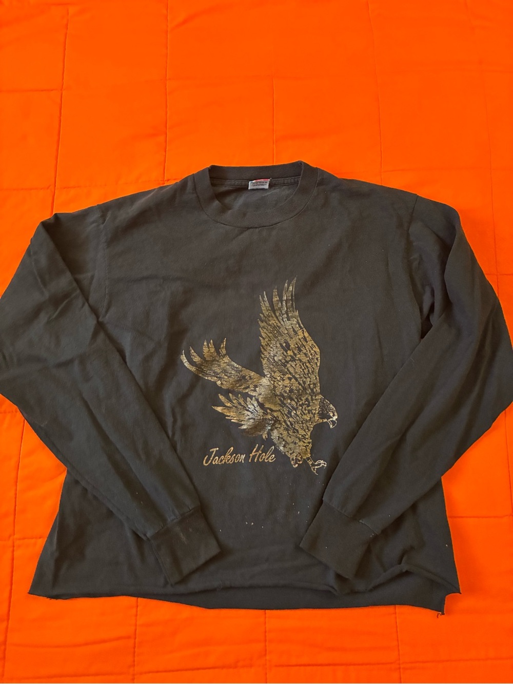 Vintage Jackson Hole T Shirt Mens XL Wyoming Long Sleeve Graphic Eagle 80’